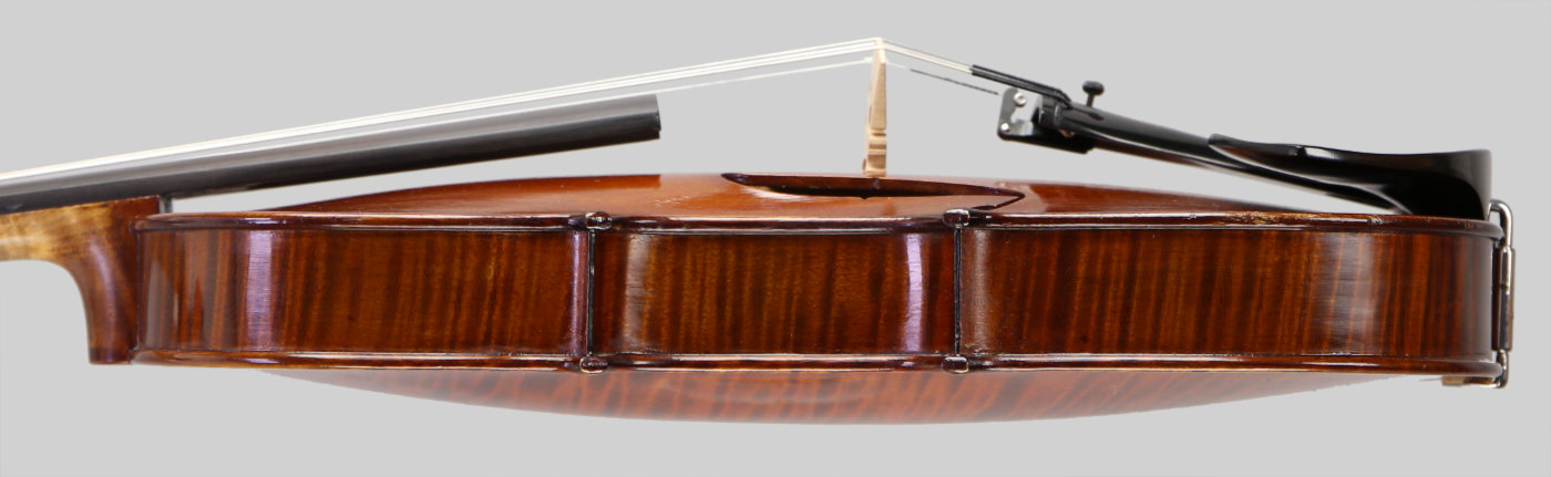 Violin side view