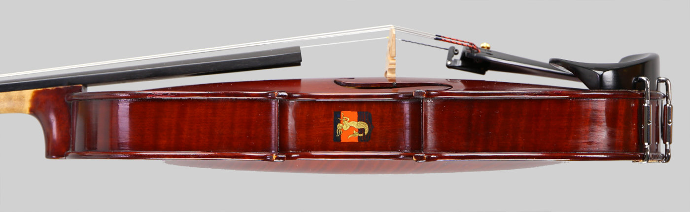 Violin side view