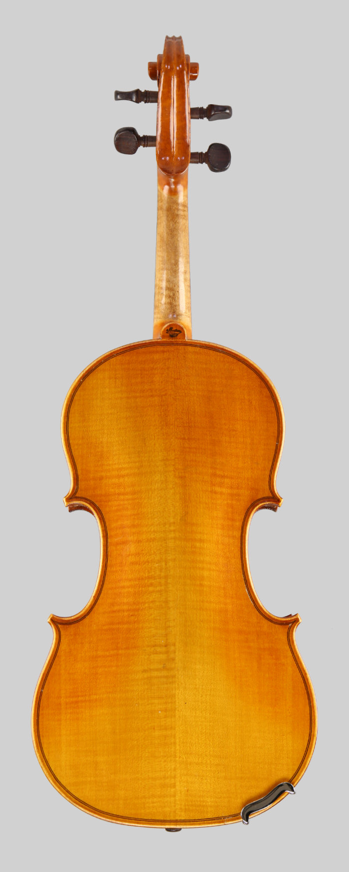 Violin back