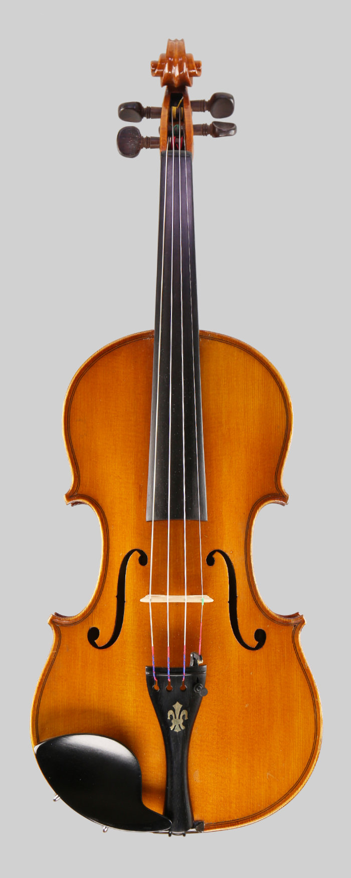 Violin front