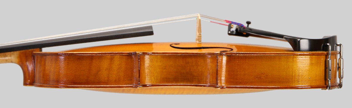 Violin side view