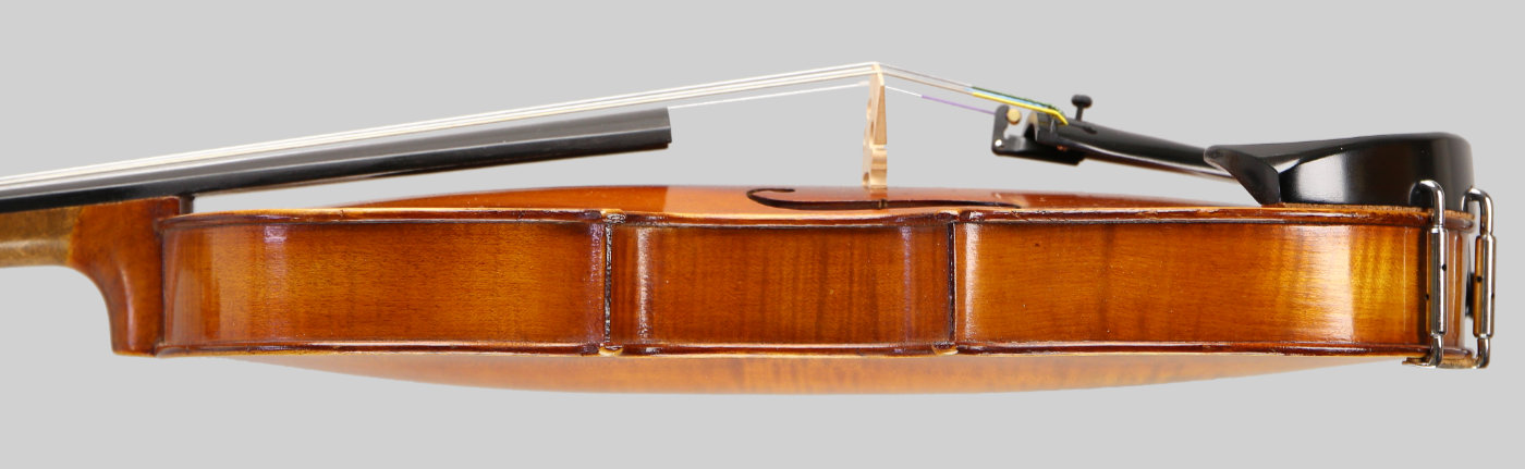 Violin side view