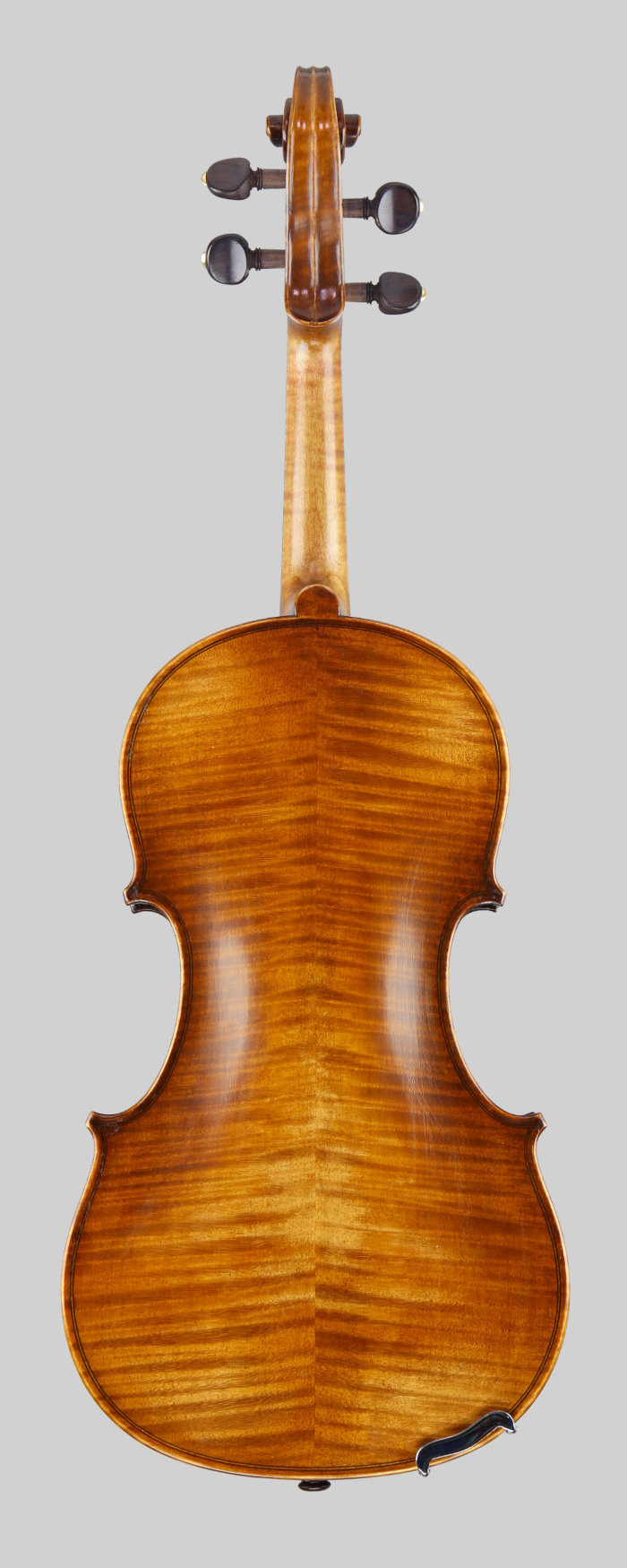 Violin back