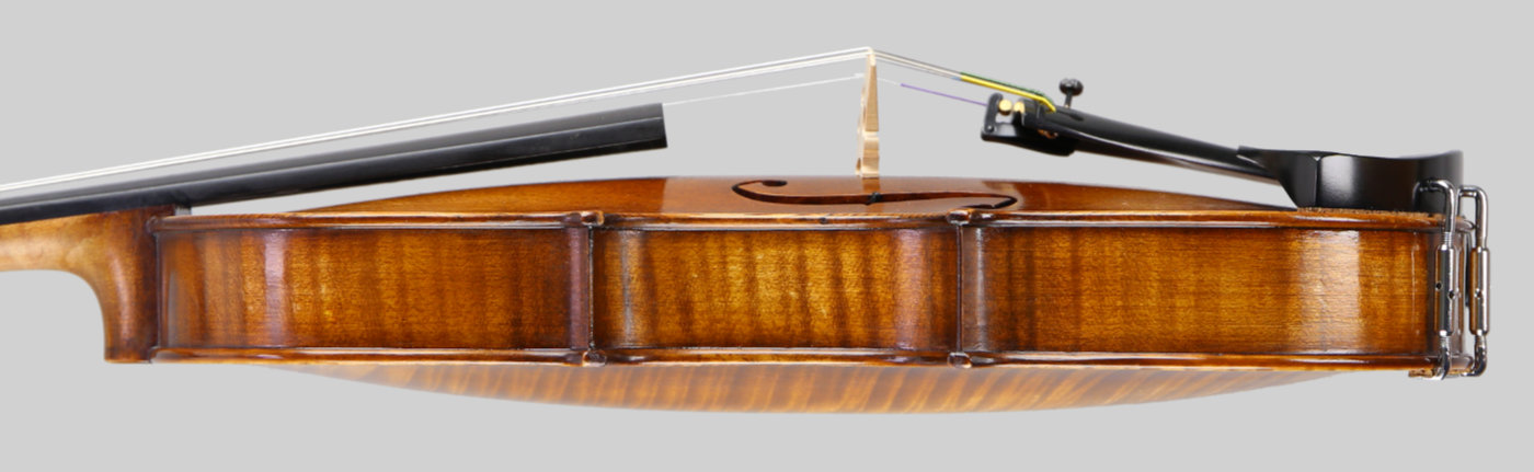 Violin side view