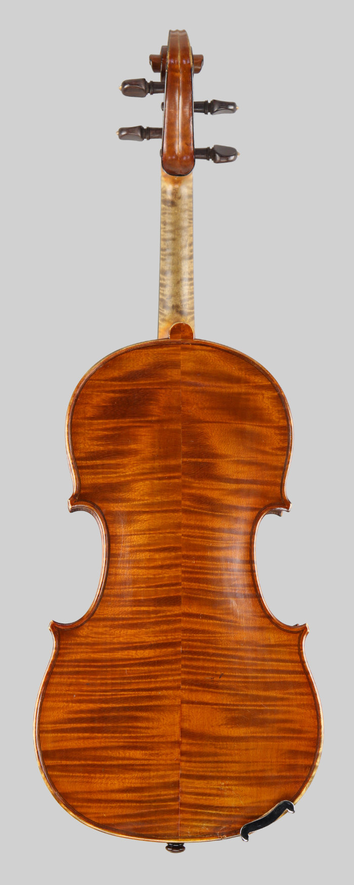 Violin back