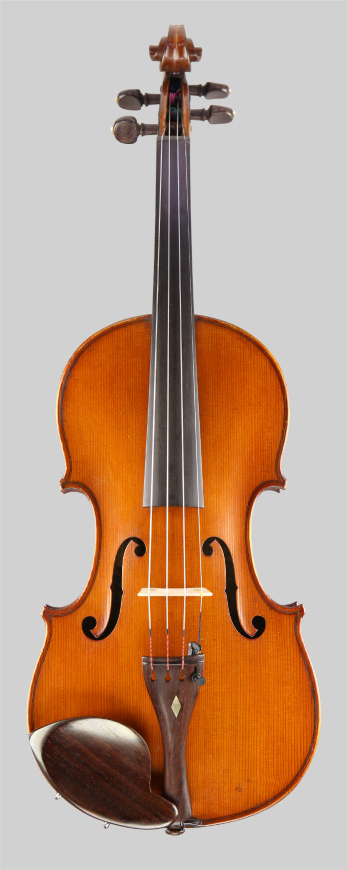 Violin front