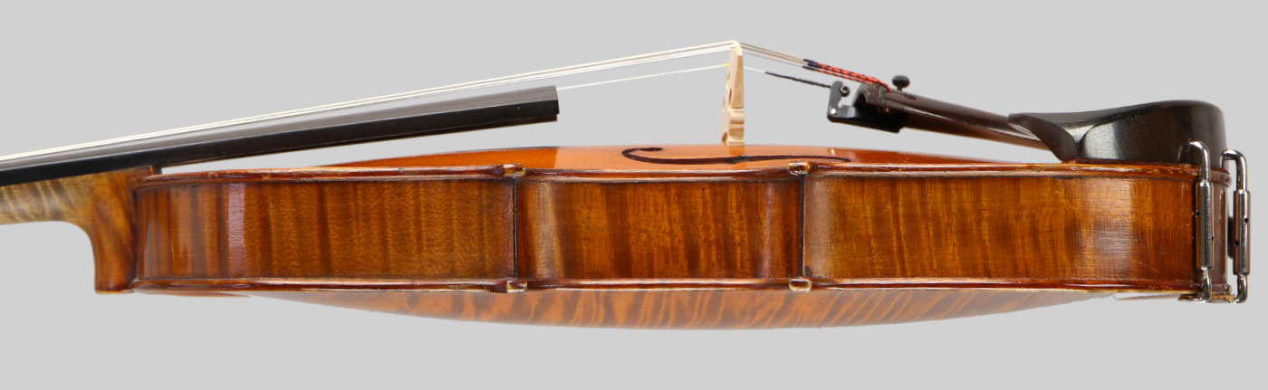 Violin side view