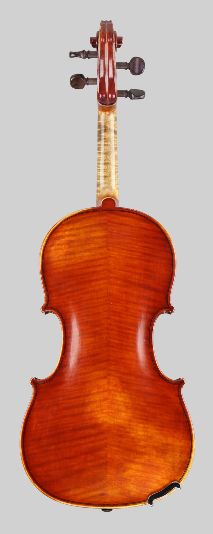 Violin back