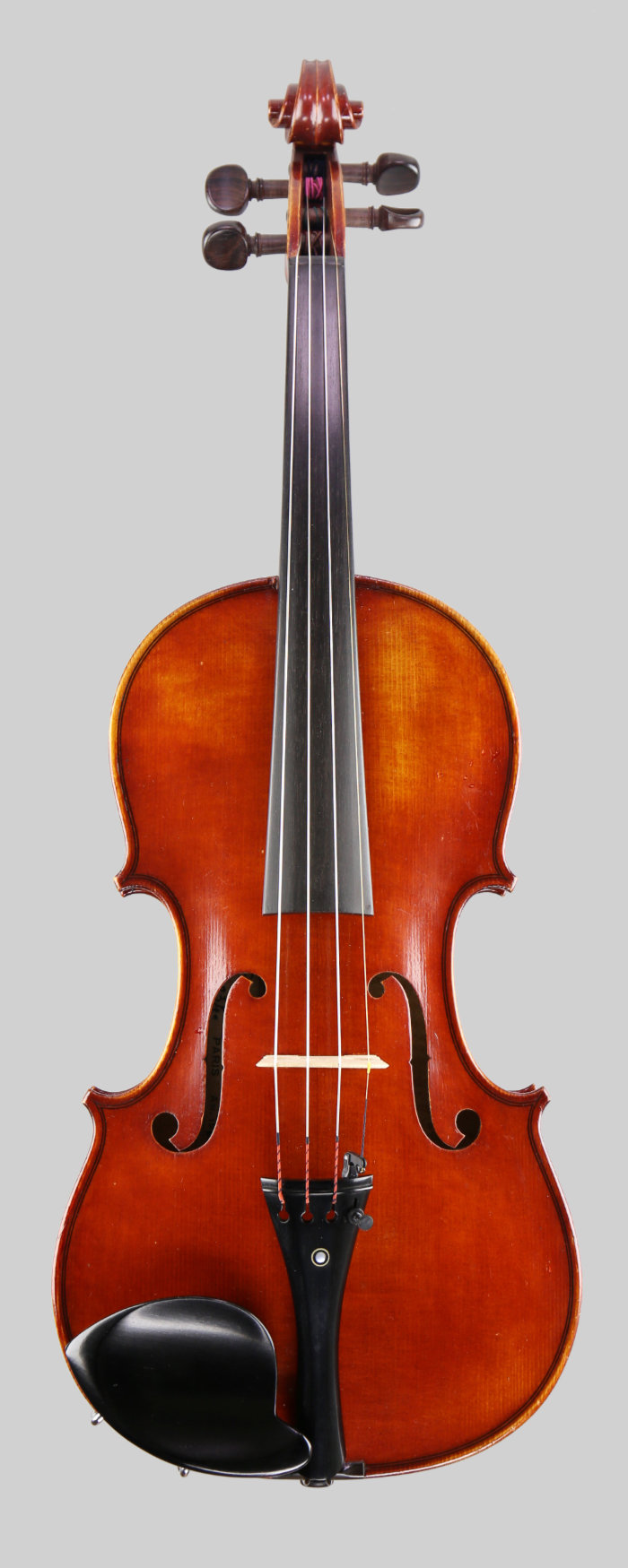 Violin front
