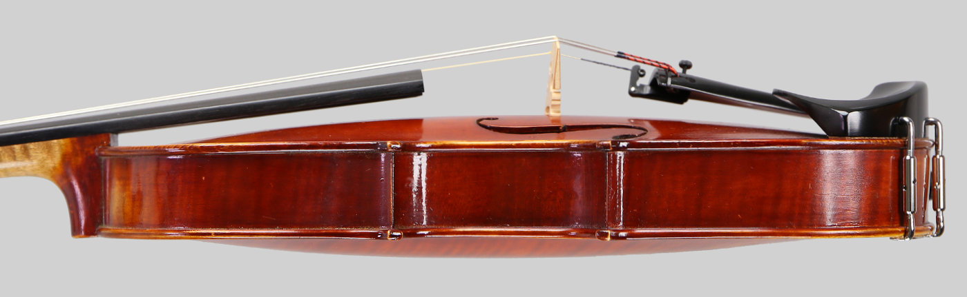 Violin side view