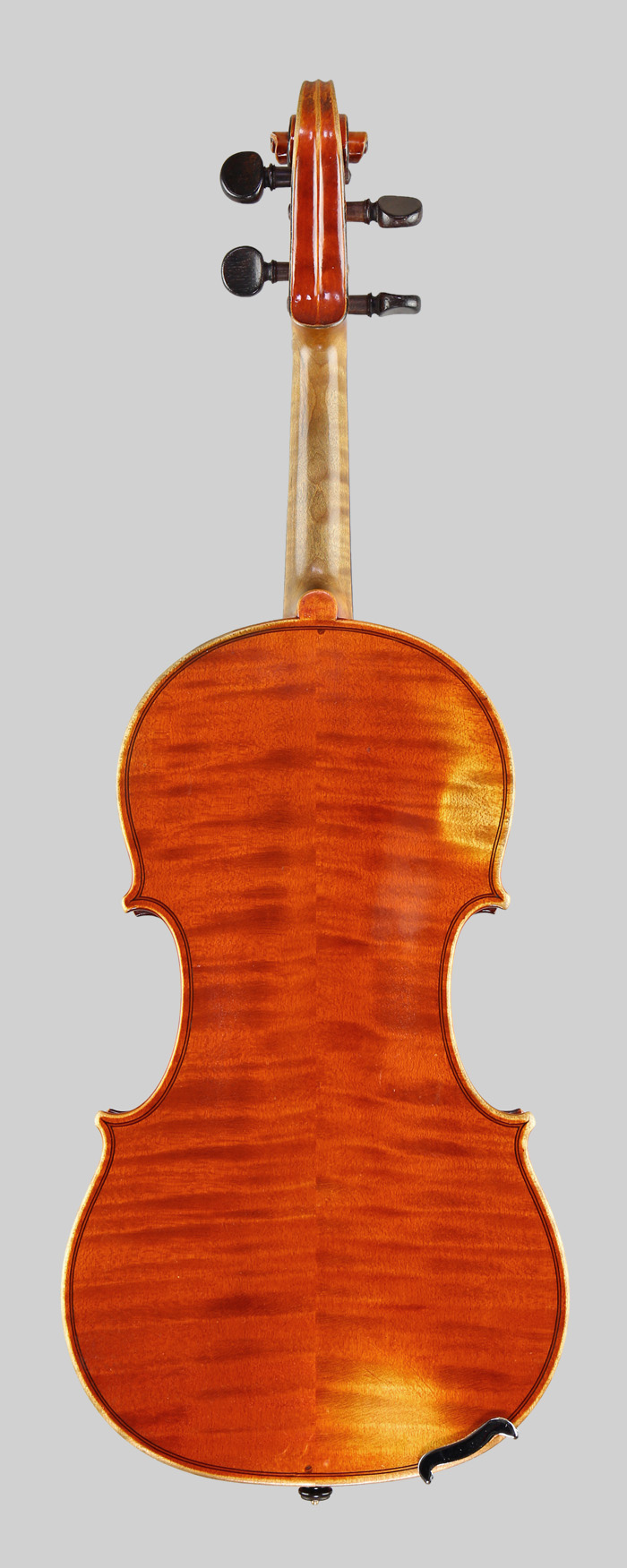 Violin back