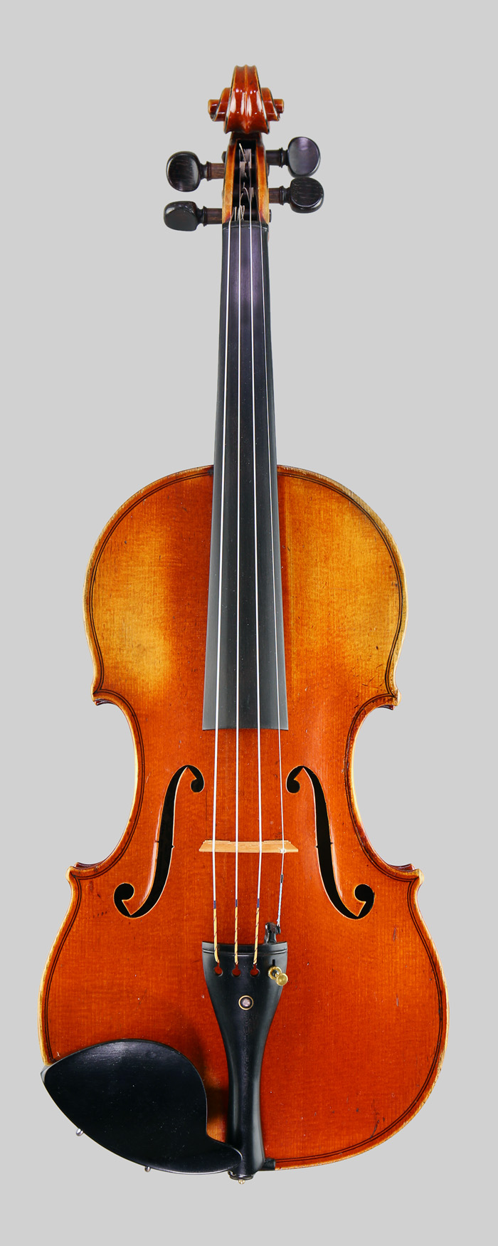 Violin front