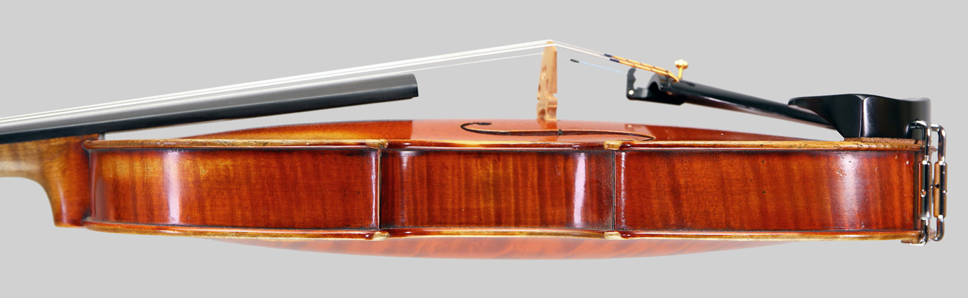 Violin side view