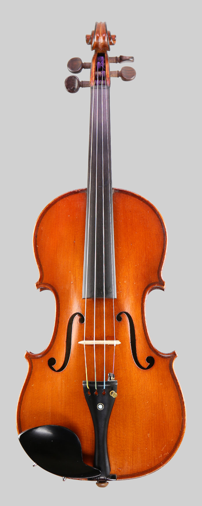 Violin front