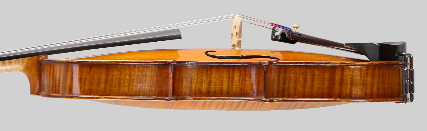 Violin side view