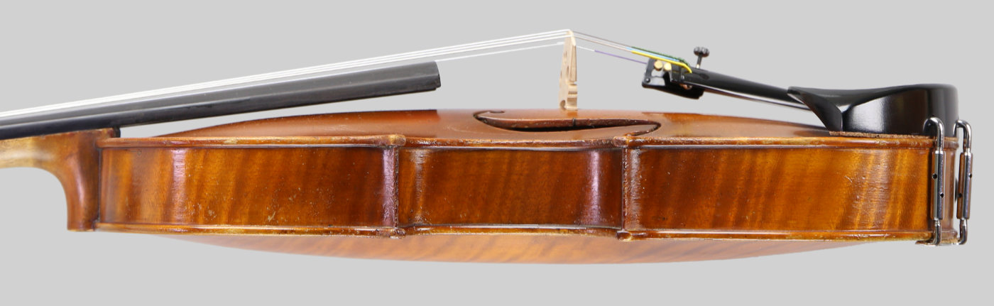 Violin side view