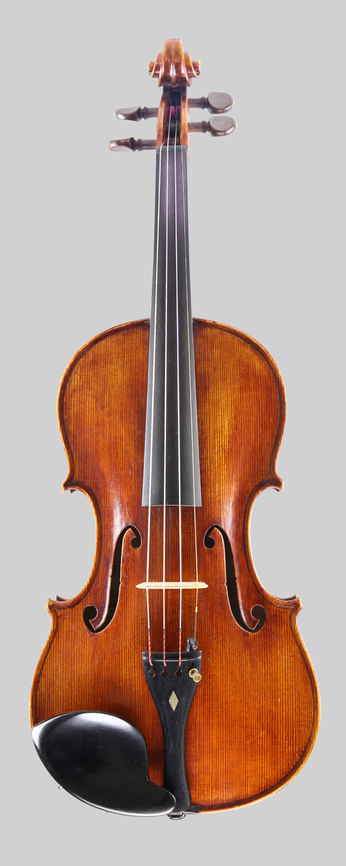 Violin front