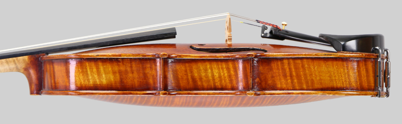 Violin side view