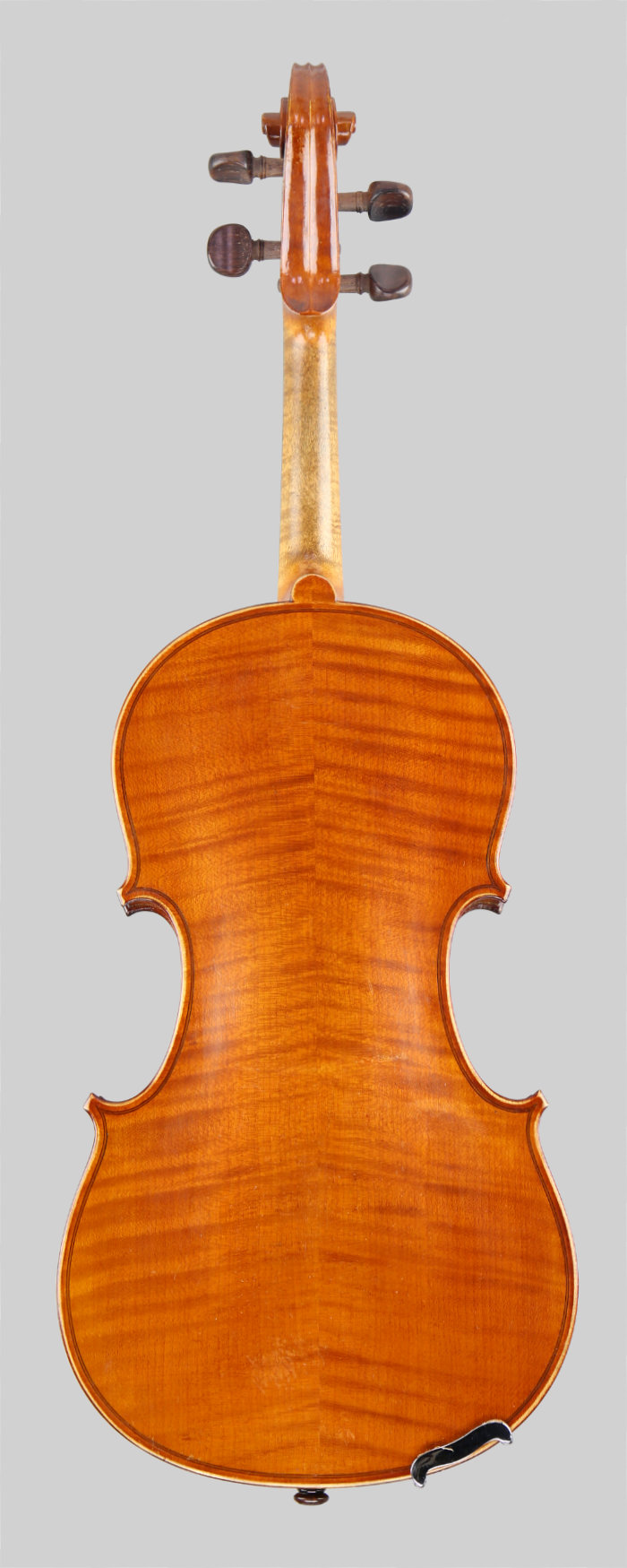 Violin back