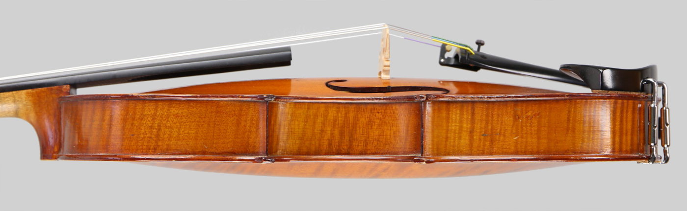 Violin side view