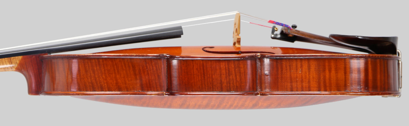 Violin side view