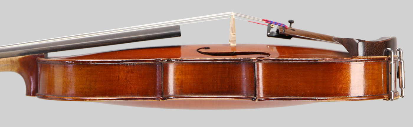 Violin side view