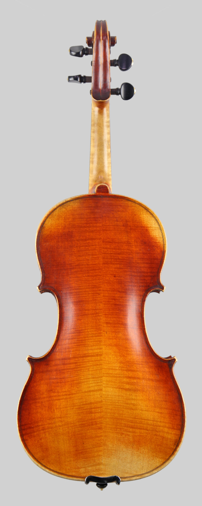 Violin back