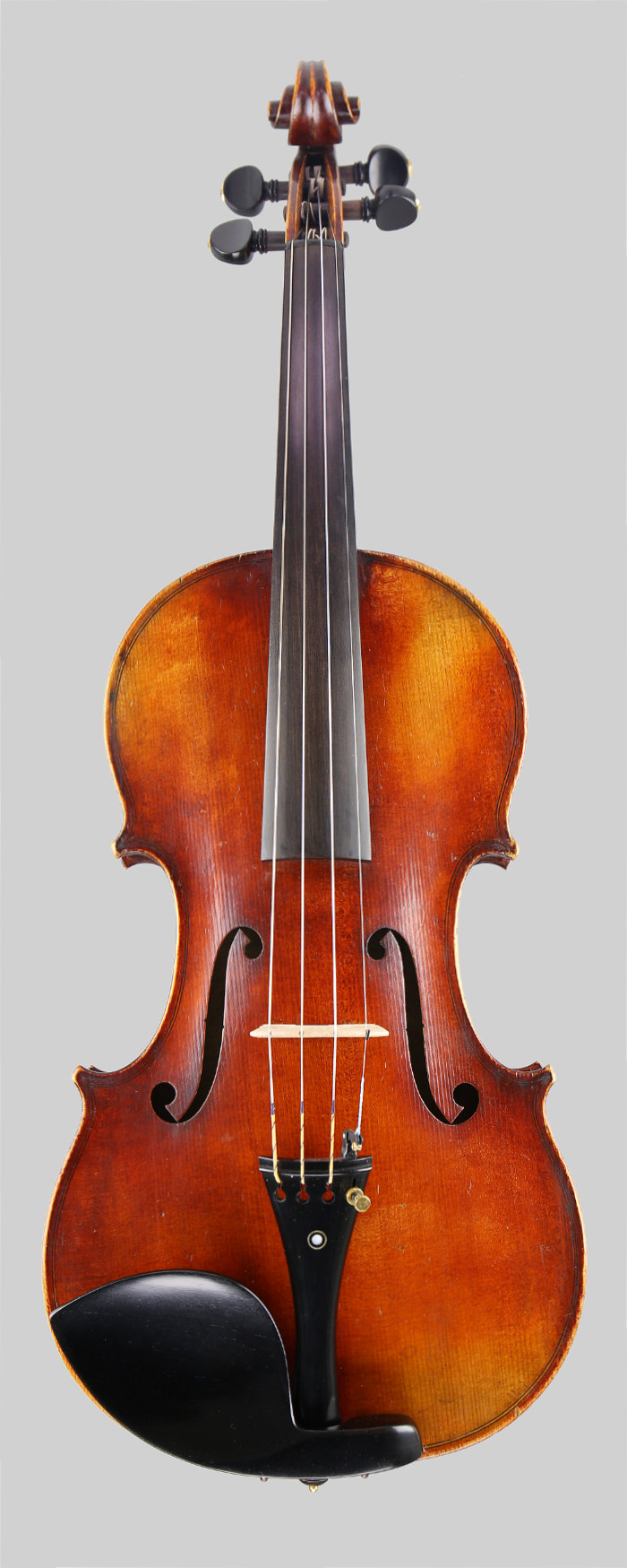 Violin front