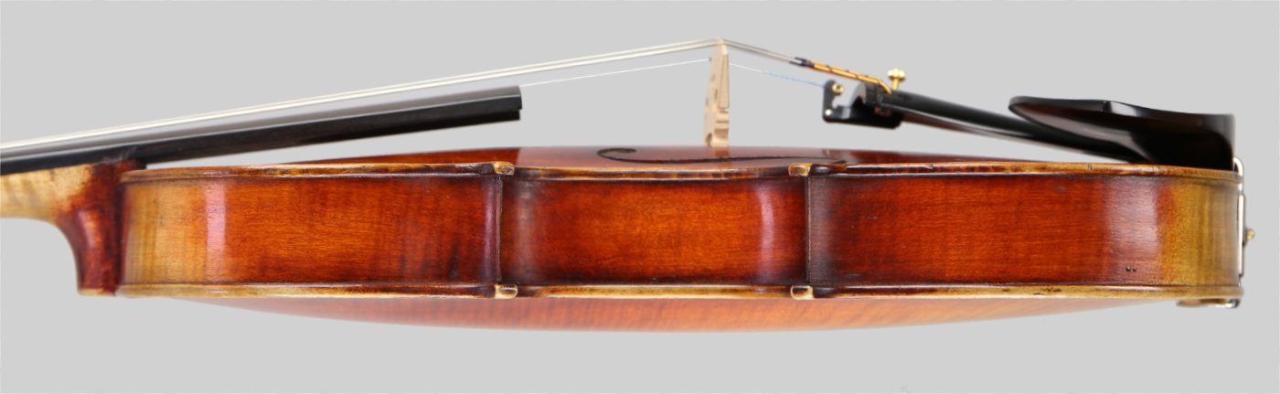 Violin side view