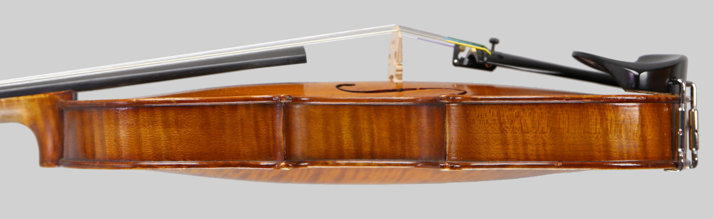 Violin side view