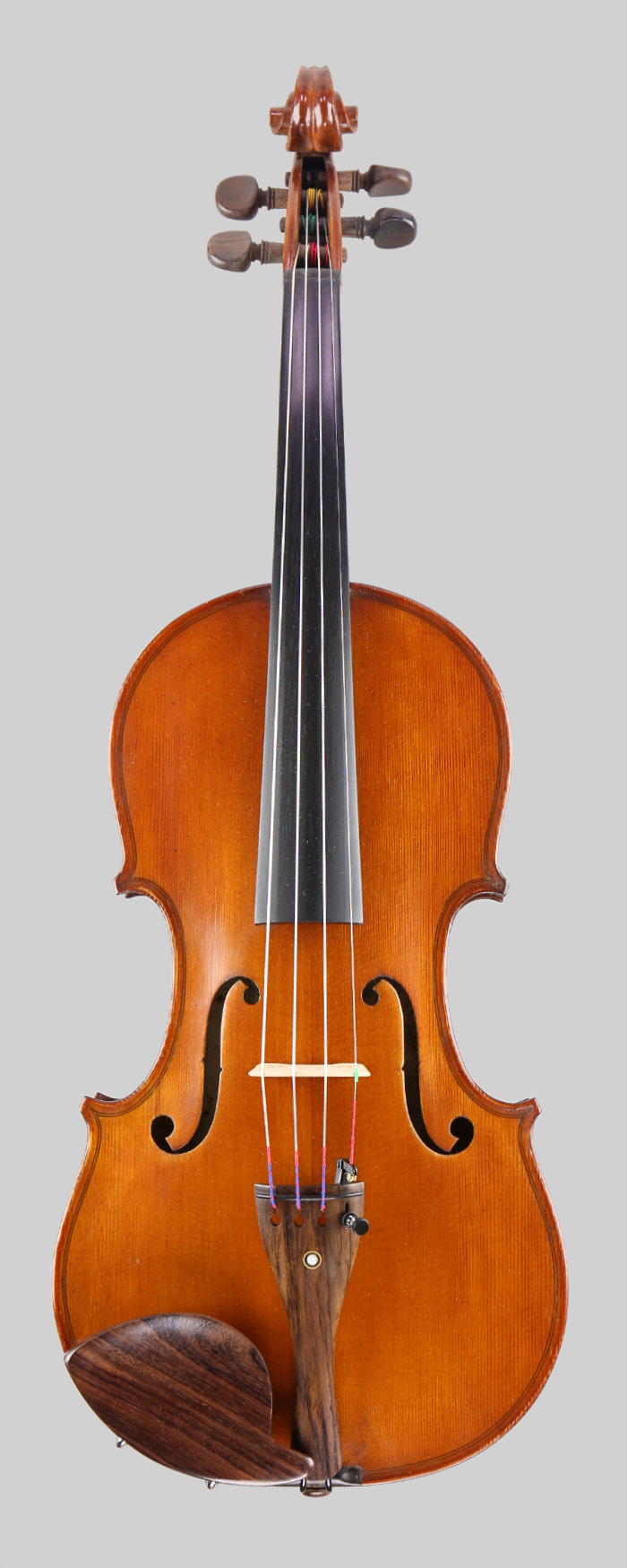 Violin front