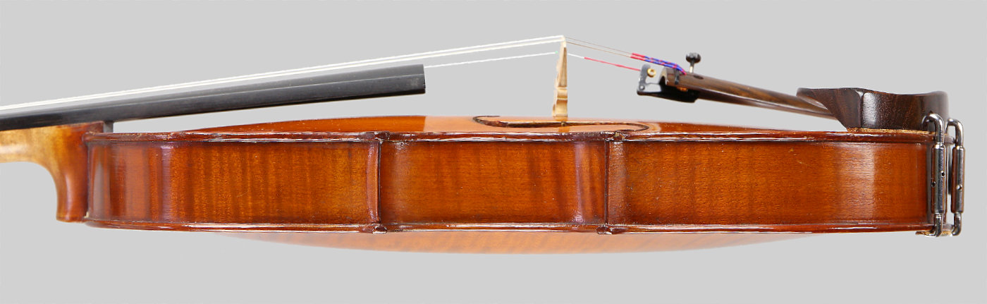 Violin side view