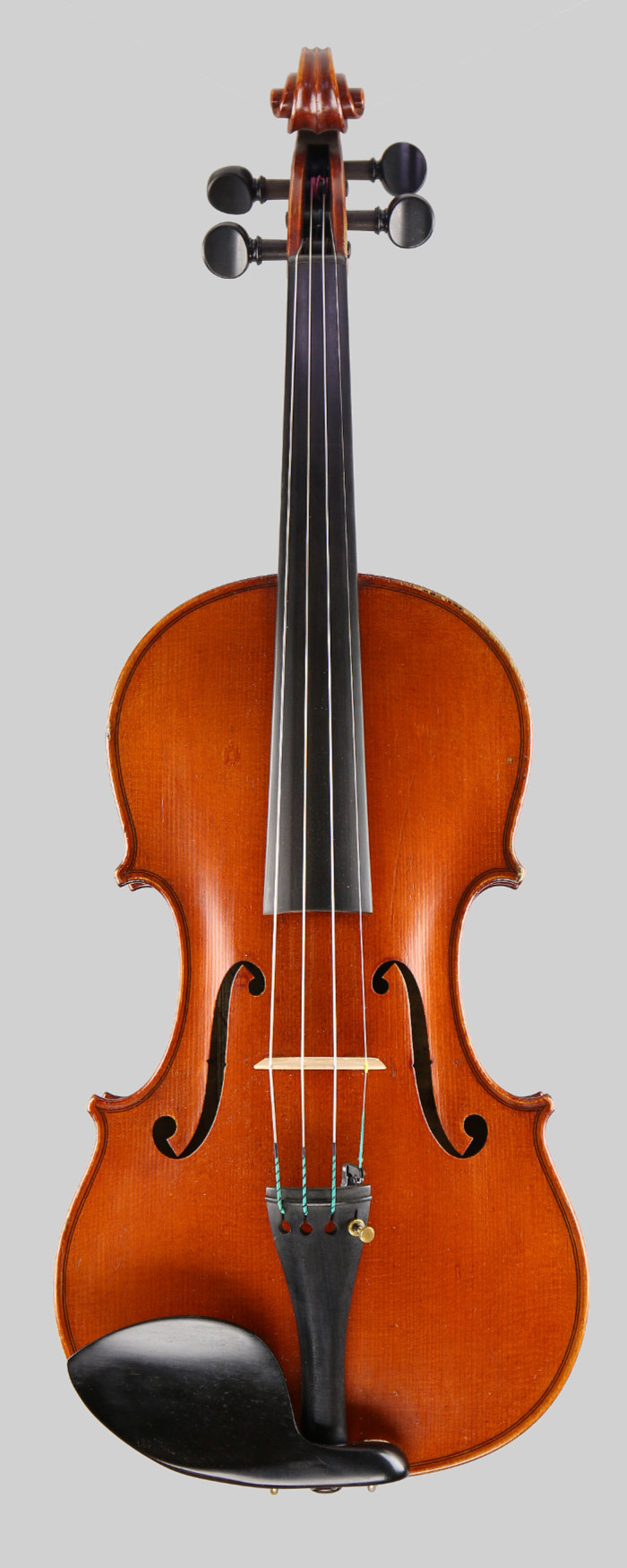 Violin front