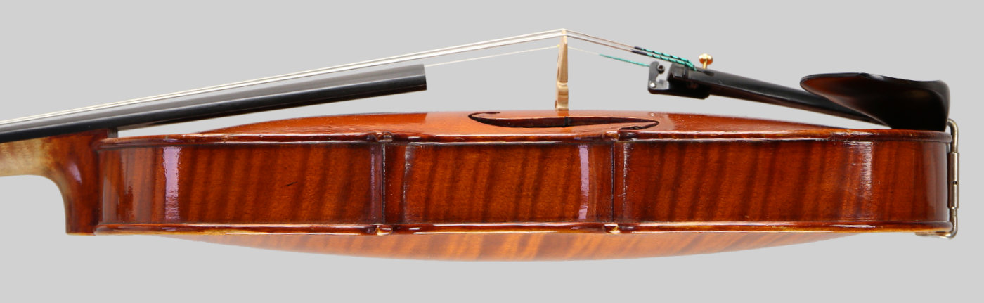 Violin side view