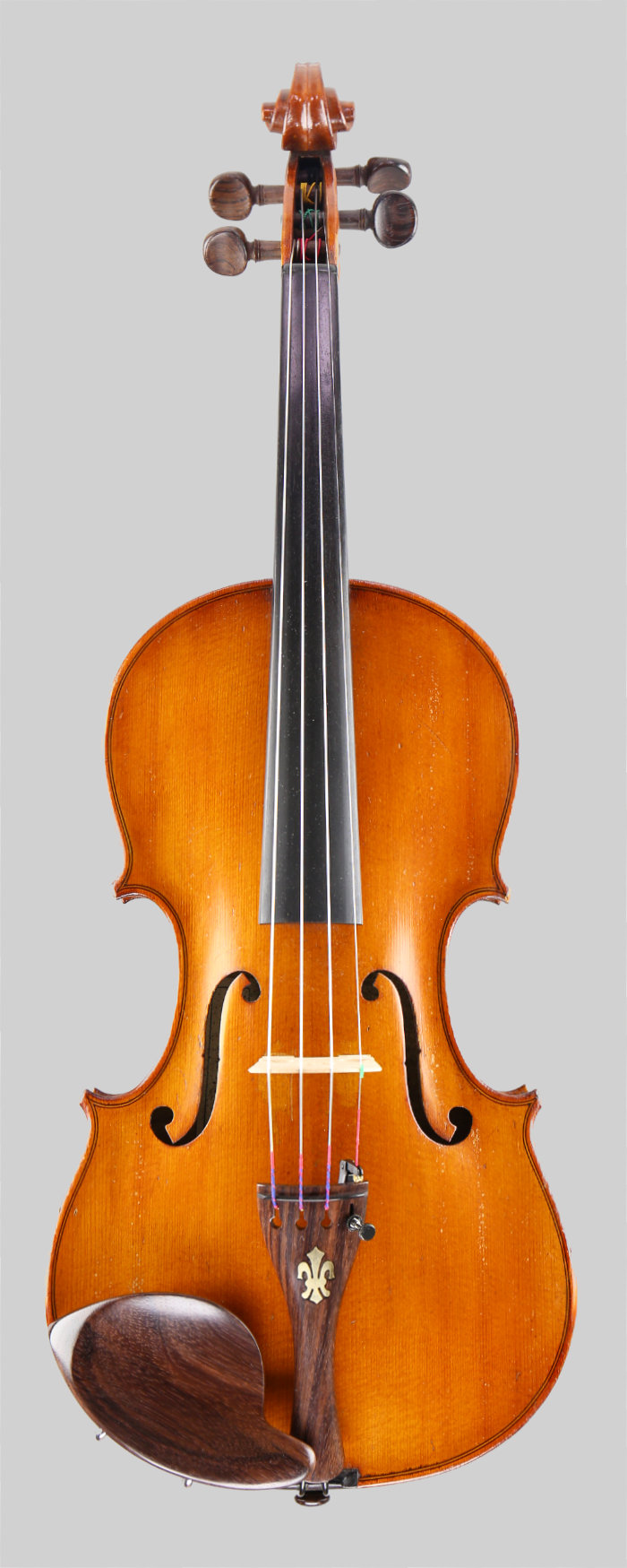 Violin front