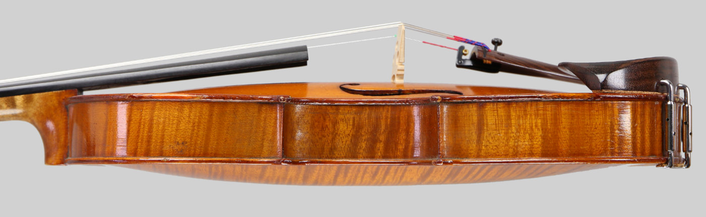 Violin side view