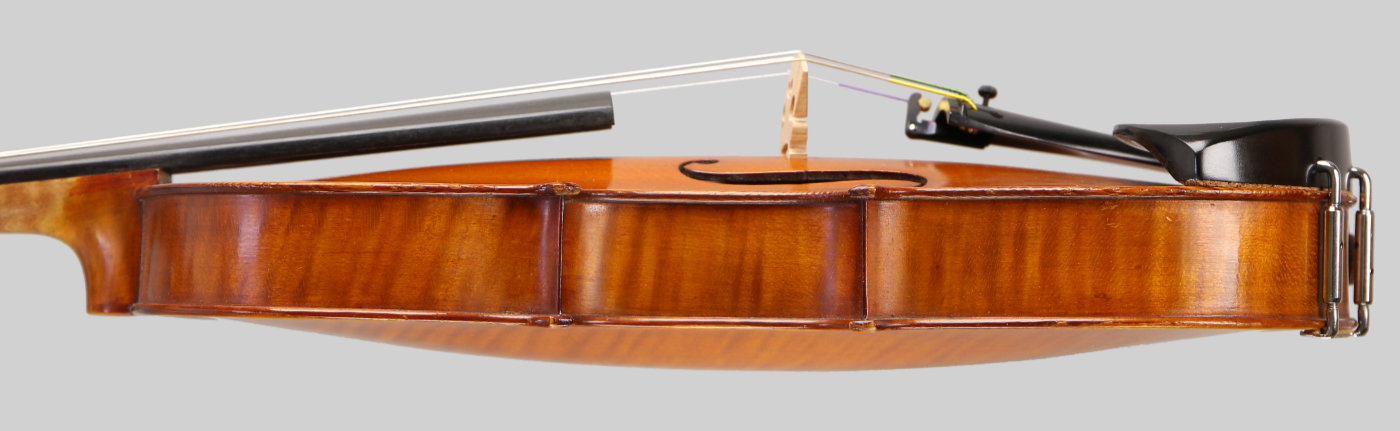 Violin side view