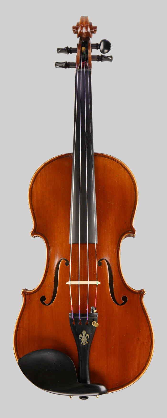 Violin front