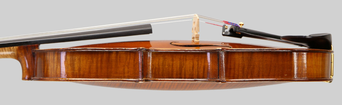 Violin side view