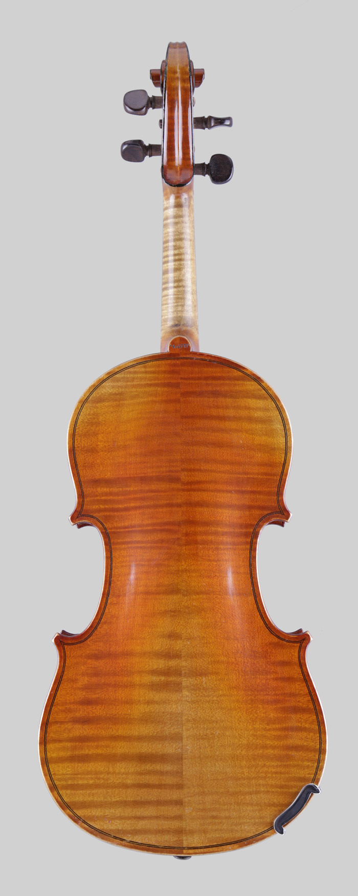 Violin back