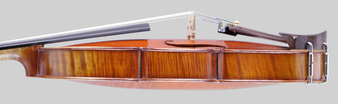 Violin side view