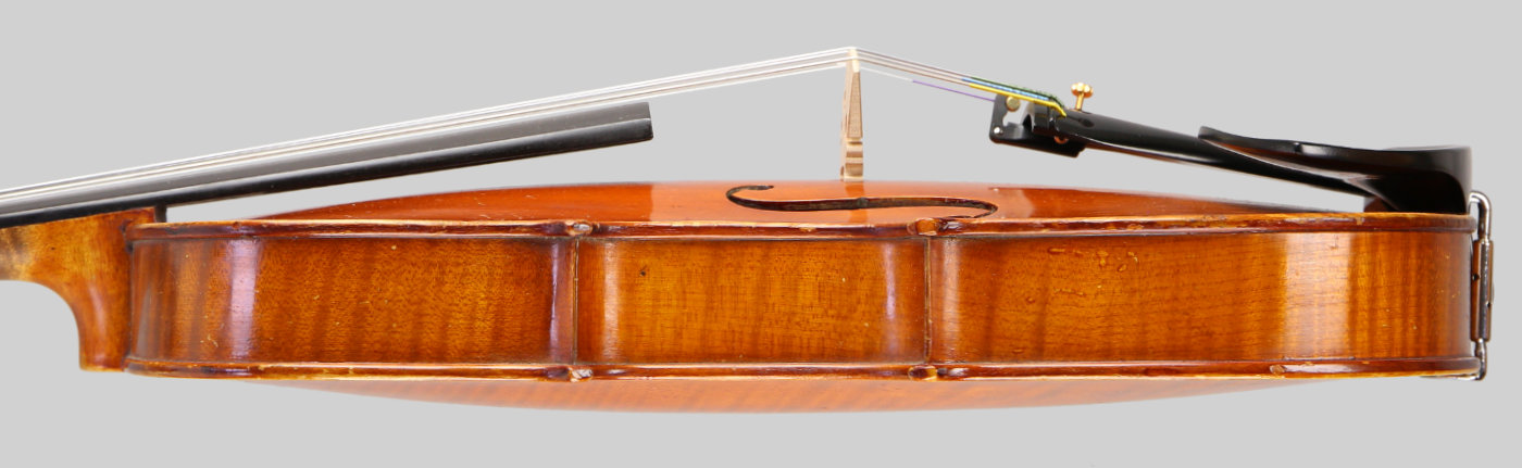 Violin side view