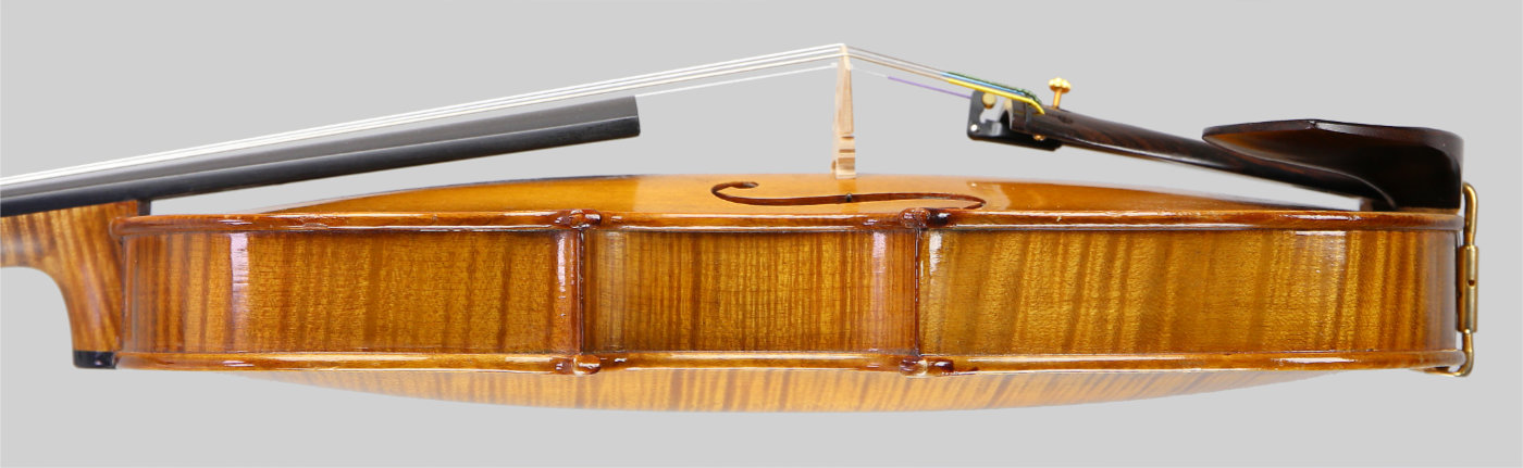 Violin side view