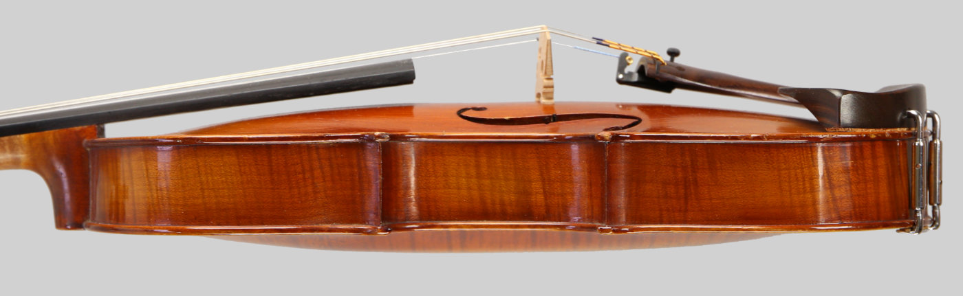 Violin side view