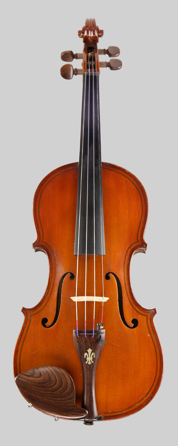 Violin front