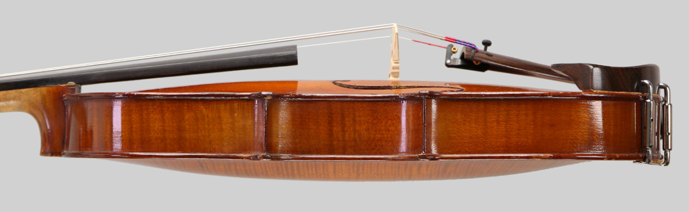 Violin side view