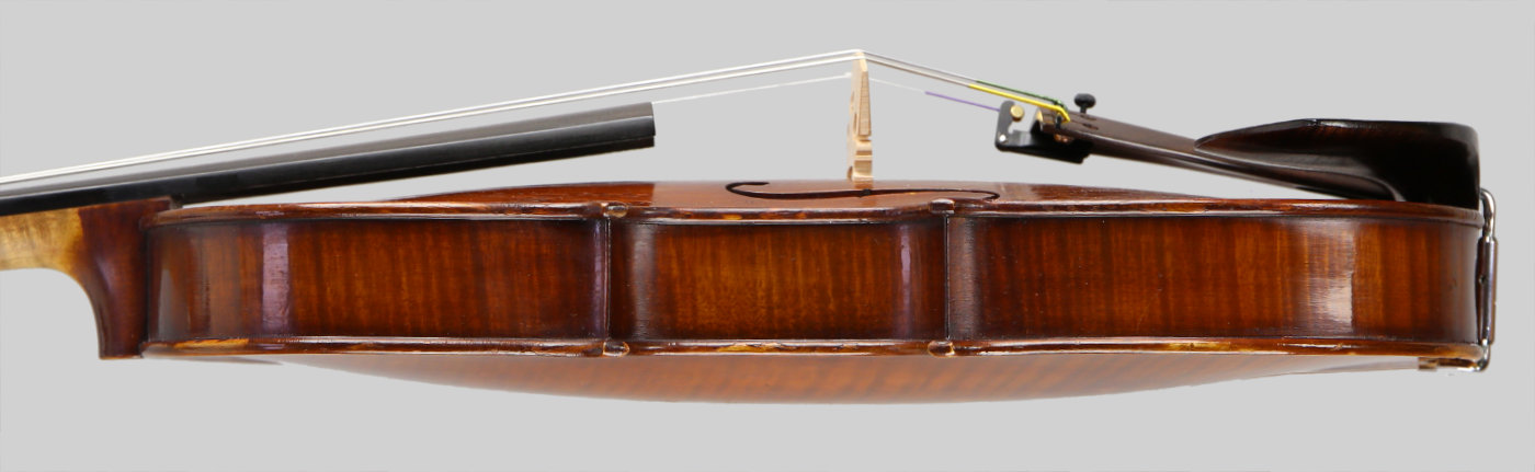 Violin side view