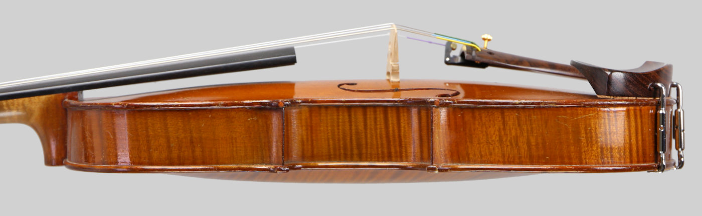 Violin side view