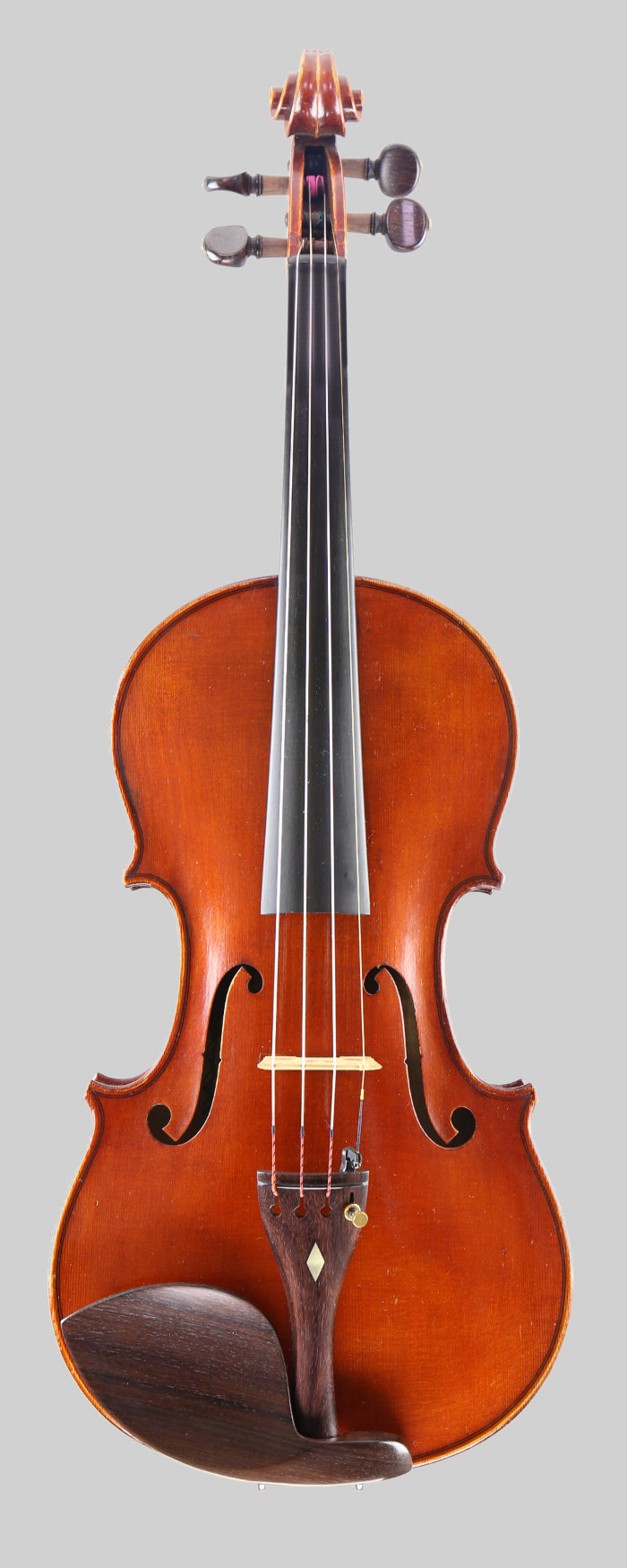 Violin front