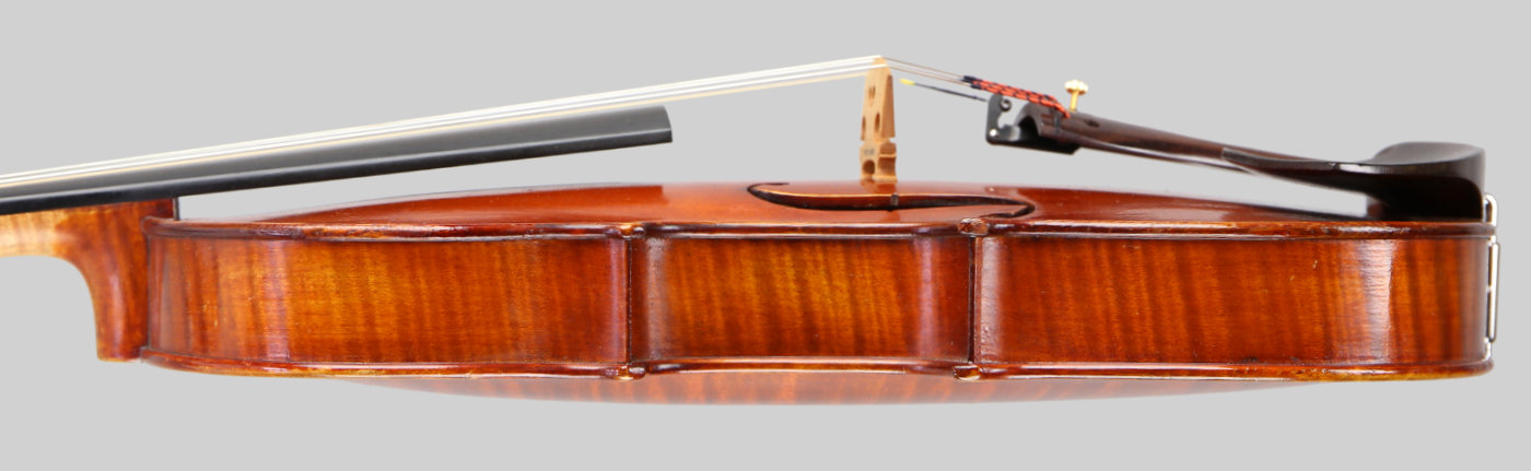 Violin side view